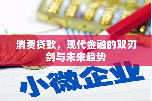 双清消费贷款，现代金融的双刃剑与未来趋势