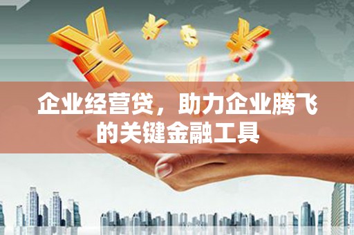 双清企业经营贷，助力企业腾飞的关键金融工具