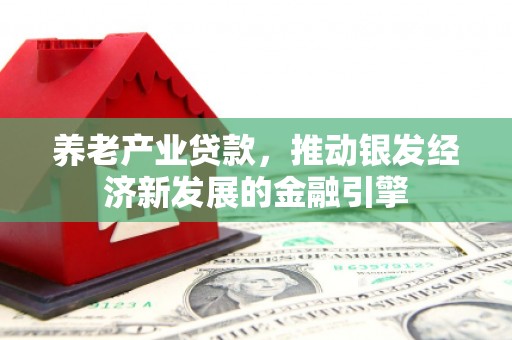 双清养老产业贷款，推动银发经济新发展的金融引擎
