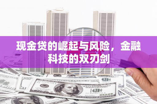 双清现金贷的崛起与风险，金融科技的双刃剑