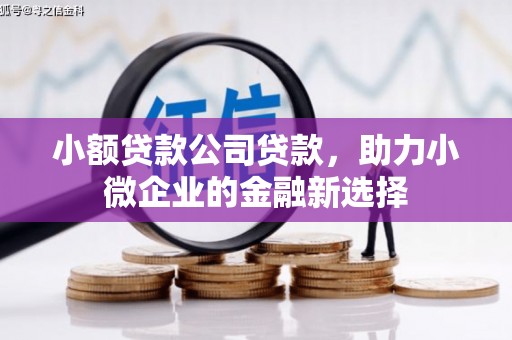 双清小额贷款公司贷款，助力小微企业的金融新选择