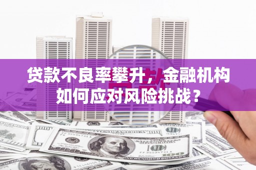 双清贷款不良率攀升，金融机构如何应对风险挑战？