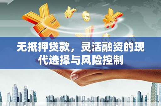 双清无抵押贷款，灵活融资的现代选择与风险控制