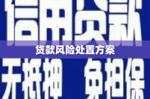 双清贷款风险处置方案