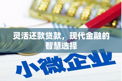 双清灵活还款贷款，现代金融的智慧选择