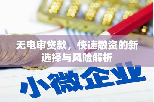 双清无电审贷款，快速融资的新选择与风险解析