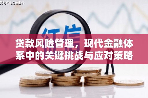 双清贷款风险管理，现代金融体系中的关键挑战与应对策略
