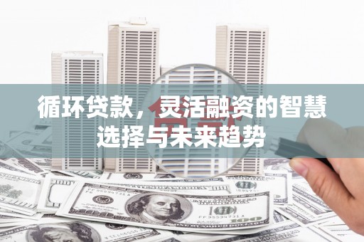 双清循环贷款，灵活融资的智慧选择与未来趋势