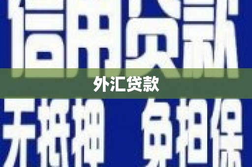 双清外汇贷款