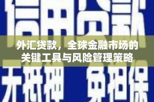 双清外汇贷款，全球金融市场的关键工具与风险管理策略