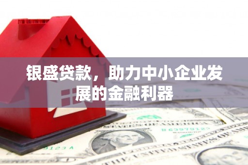 双清银盛贷款，助力中小企业发展的金融利器