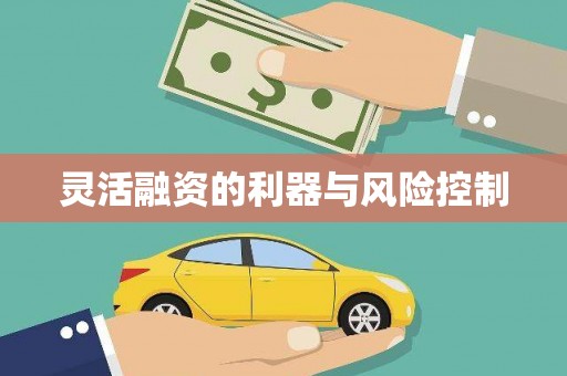 双清灵活融资的利器与风险控制