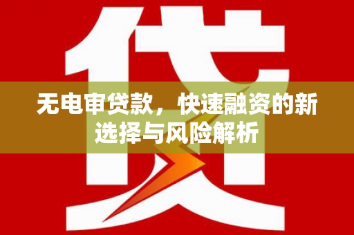双清无电审贷款，快速融资的新选择与风险解析