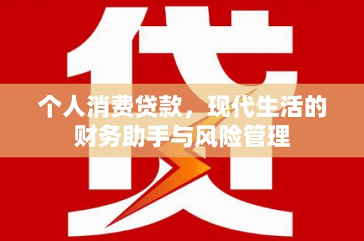 双清个人消费贷款，现代生活的财务助手与风险管理