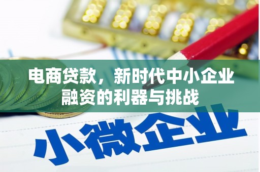 双清电商贷款，新时代中小企业融资的利器与挑战