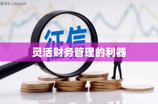双清灵活财务管理的利器