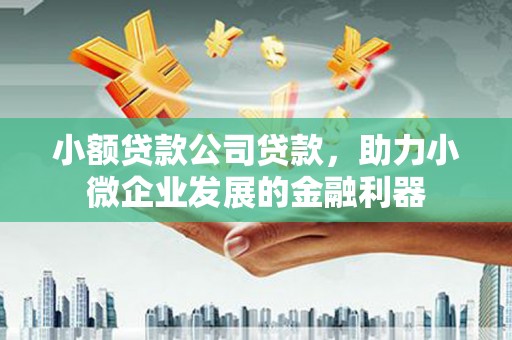双清小额贷款公司贷款，助力小微企业发展的金融利器