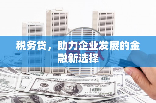 双清税务贷，助力企业发展的金融新选择