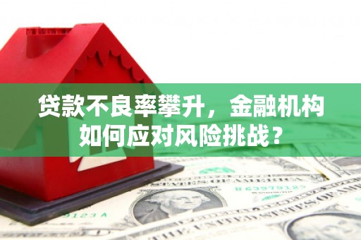 双清贷款不良率攀升，金融机构如何应对风险挑战？
