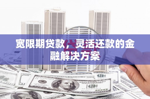 双清宽限期贷款，灵活还款的金融解决方案