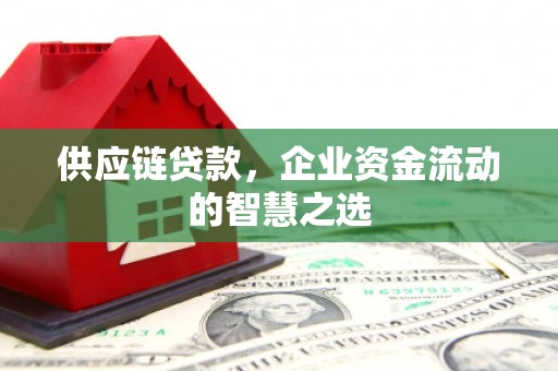 双清供应链贷款，企业资金流动的智慧之选