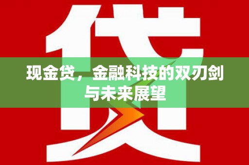 双清现金贷，金融科技的双刃剑与未来展望