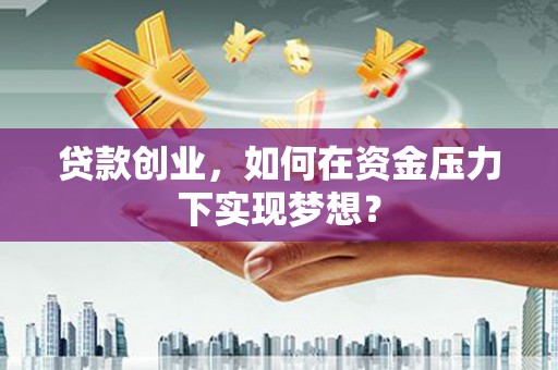 双清贷款创业，如何在资金压力下实现梦想？