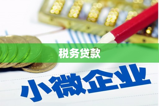 双清税务贷款
