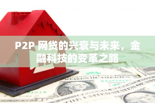 双清P2P 网贷的兴衰与未来，金融科技的变革之路