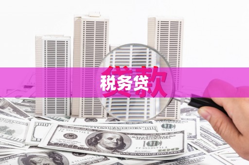 双清税务贷