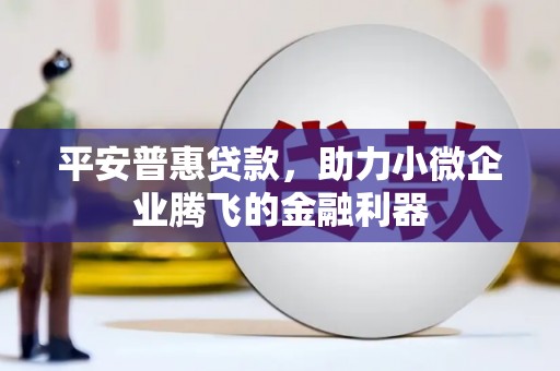 双清平安普惠贷款，助力小微企业腾飞的金融利器