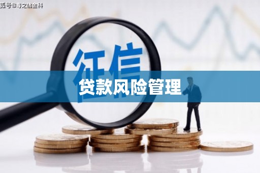 双清贷款风险管理