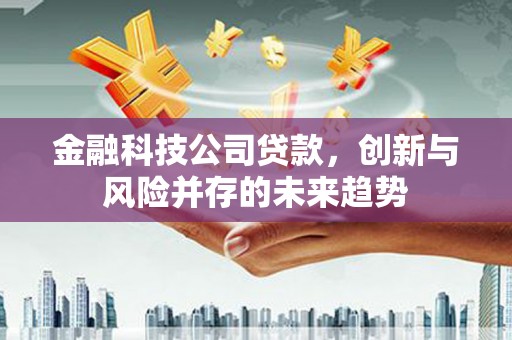 双清金融科技公司贷款，创新与风险并存的未来趋势