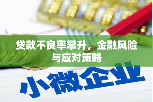 双清贷款不良率攀升，金融风险与应对策略