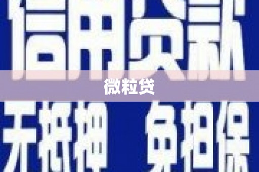 双清微粒贷