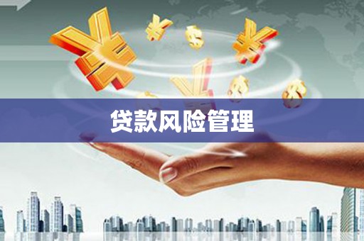 双清贷款风险管理