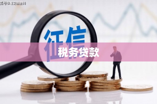 双清税务贷款