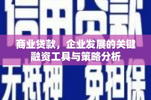 双清商业贷款，企业发展的关键融资工具与策略分析