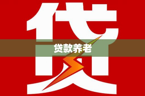 双清贷款养老