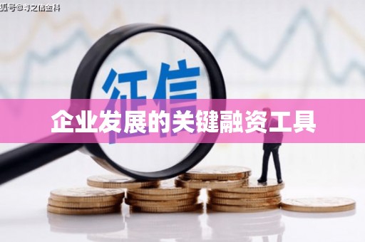 双清企业发展的关键融资工具