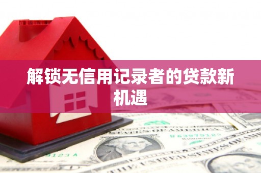 双清解锁无信用记录者的贷款新机遇