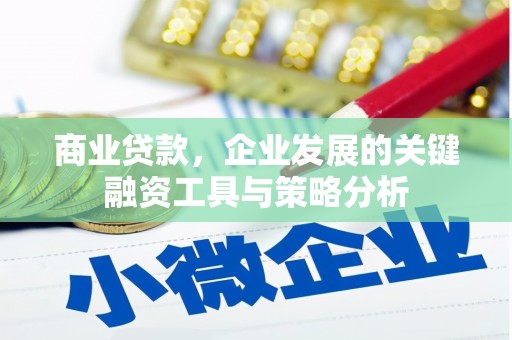 双清商业贷款，企业发展的关键融资工具与策略分析