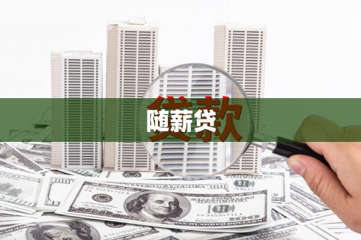 双清随薪贷