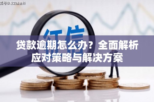 双清贷款逾期怎么办？全面解析应对策略与解决方案