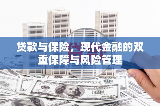 双清贷款与保险，现代金融的双重保障与风险管理
