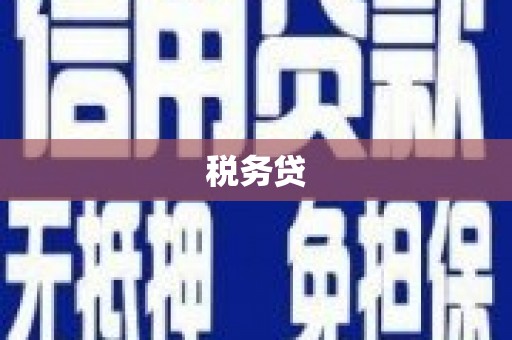 双清税务贷
