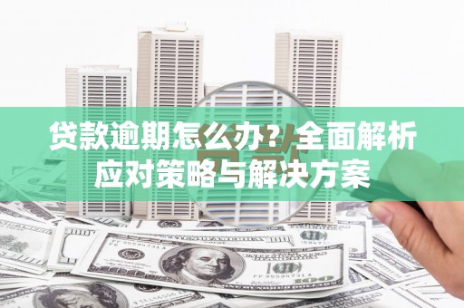 双清贷款逾期怎么办？全面解析应对策略与解决方案