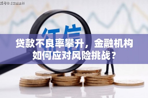 双清贷款不良率攀升，金融机构如何应对风险挑战？