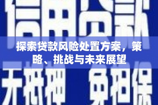双清探索贷款风险处置方案，策略、挑战与未来展望