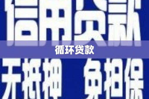 双清循环贷款